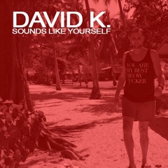 David K. - Sounds like Yourself (Promoset Feb. 2016)