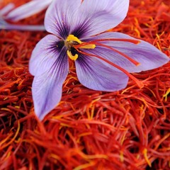 In The Space Of Saffron