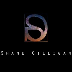 Tracy Chapman vs Porter Robinson - Fast Language (Shane Gilligan Mashup)