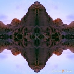 Drishti Beats - Journey (Escaping Animals Remix)