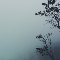 Fake Plastic Tree (Radiohead Cover) by Adhyatma