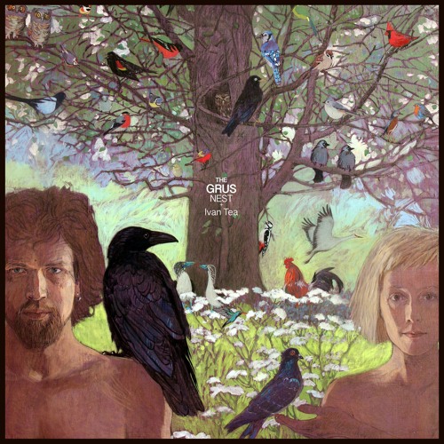 The Grus: Jupiter