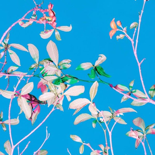 MZ Boom Bap - Hip Hop