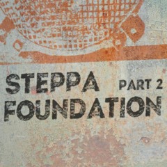 Steppa Foundation - Part 2