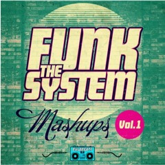 Ready to Shake (Funk the System Mashup)