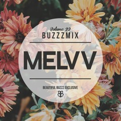 BUZZZMIX VOL. 20 - MELVV