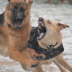 Two Strings (Instrumental)