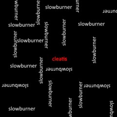 SLOWBURNER(prod.  by Cleatis)
