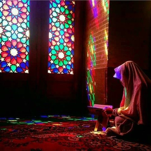 دعاء کمیل- في حرم الامام الحسین عليه السلام؛ ميثم التمار