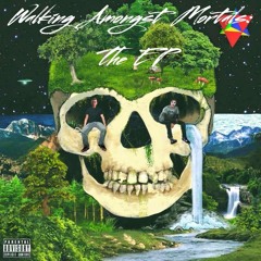 Vibrations (TheHumbleChampion & Fearless Prophet) [Prod. Theocracy]