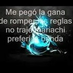 El Sauza y Su Banda >Norteno Banda por que me dio la gana