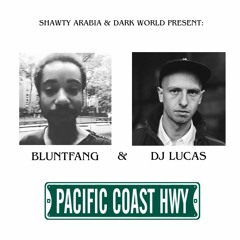 PACIFIC COAST HWY (BLUNTFANG & DJ LUCAS)