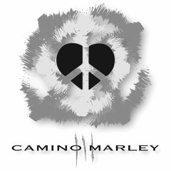 DIVIDE - 09 - Sonne Im Kopf Ft. Matthias Carras