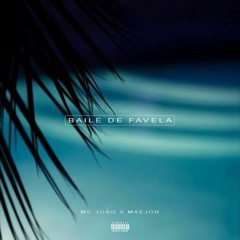 MC João - Baile De Favela (ViTTiN Remix) [OUT NOW!!]