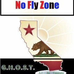 NO FLY ZONE
