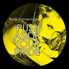 Funkdamentalist - Push Aside Your Pride