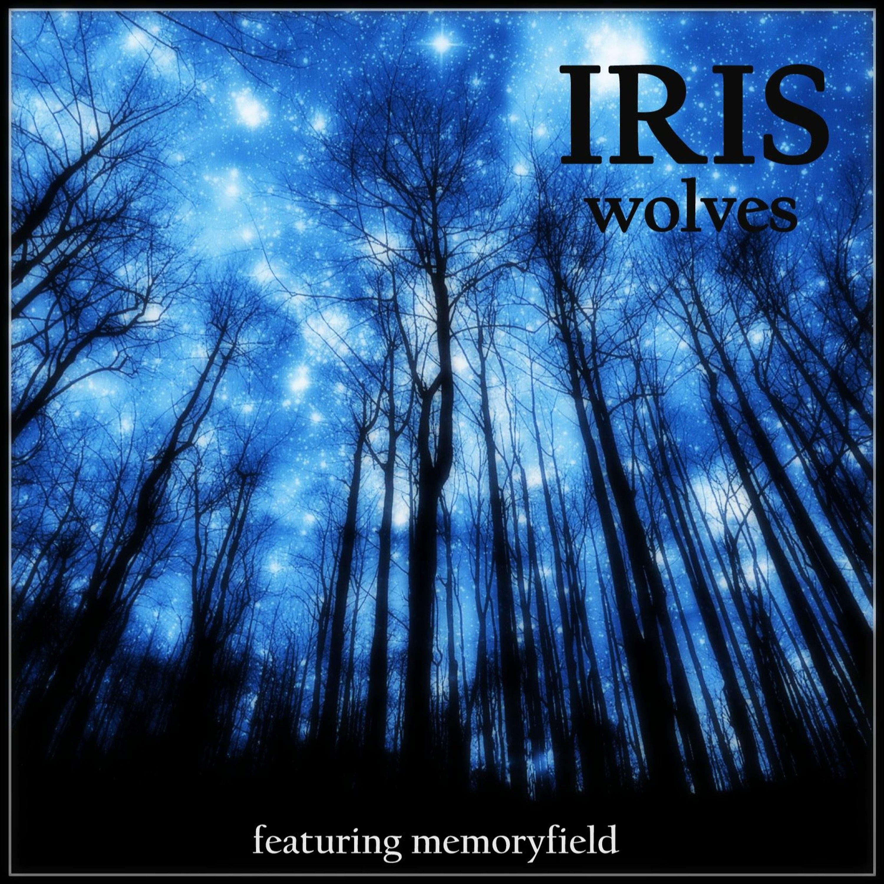memoryfield