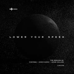 Alex Hentze & Etherfeel - Lower Your Speed - ( Disko Dario Remix)