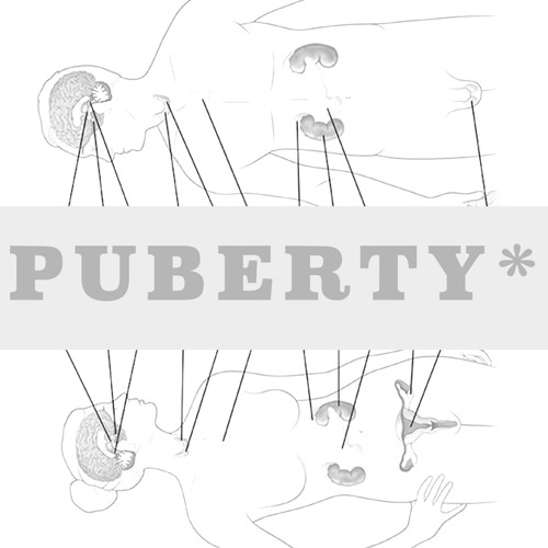 puberty*