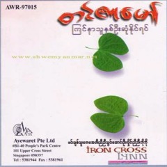 ခ်စ္ျခင္းလမ္းခြဲ -တင္ဇာေမာ္