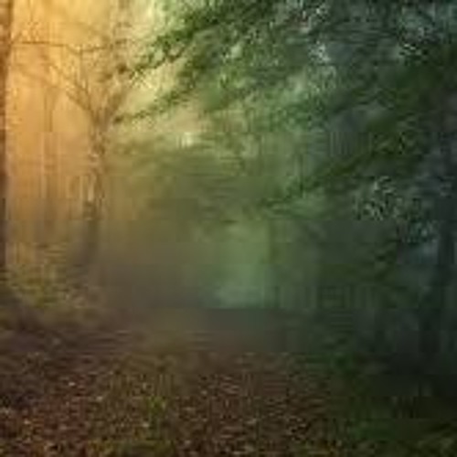 Pathway