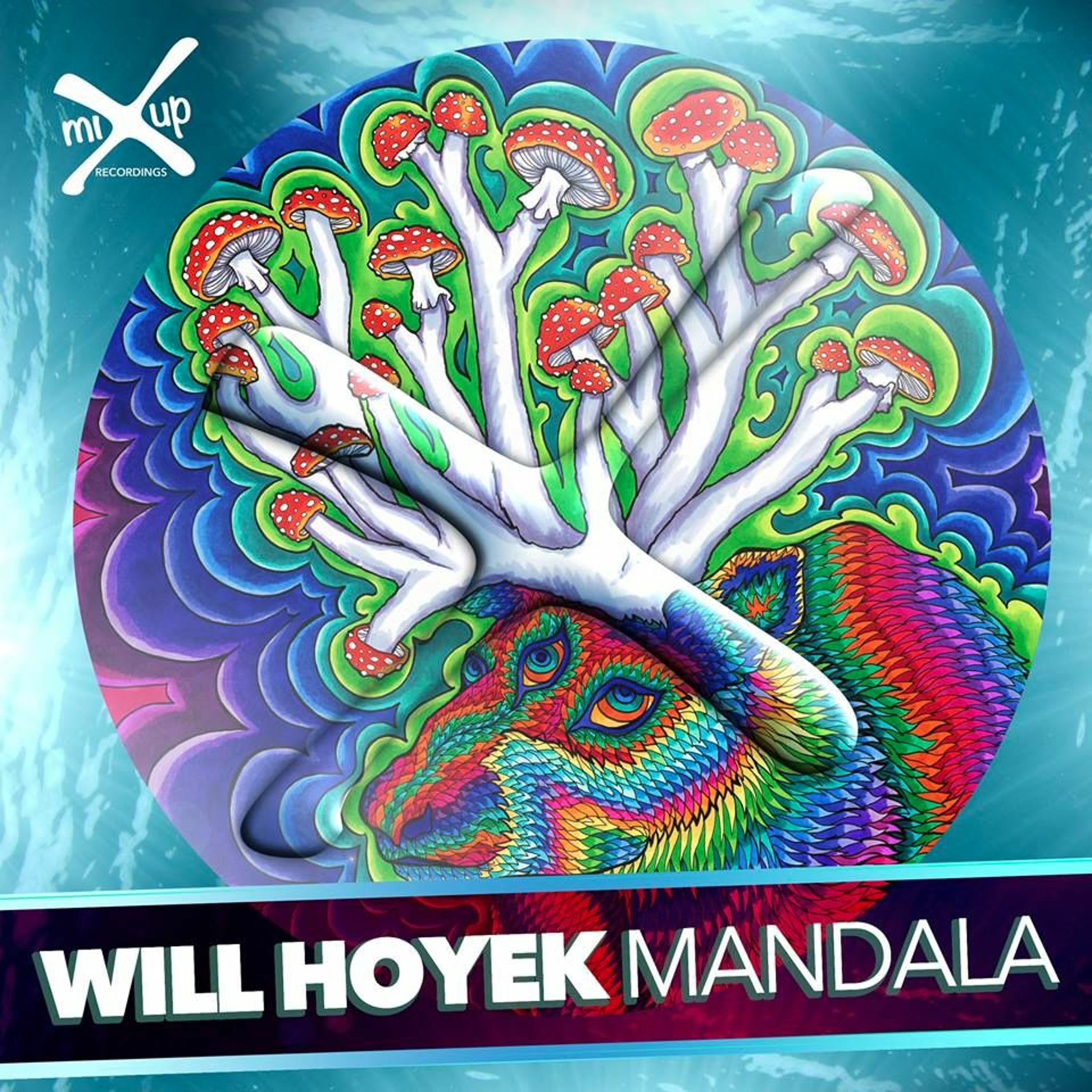 Will Hoyek