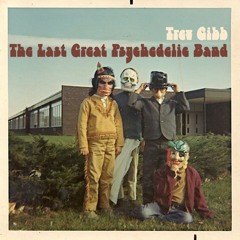 TREV GIBB - Last Great Psychedelic Band