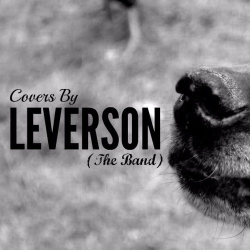 Stream Everlong Acoustic Cover By Leverson Listen Online For Free