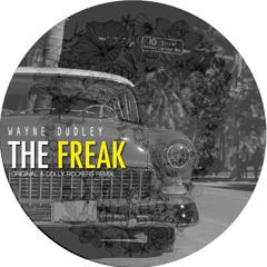 Wayne Dudley - The Freak (Dolly Rockers Remix) [Subterraneo Records]