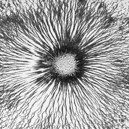 Inland - Footstone / Sinker - COUNTER006 (preview)