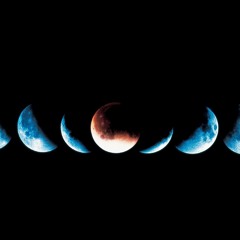Lunarity