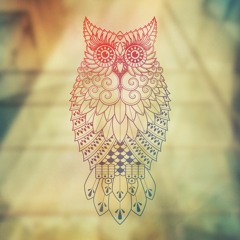 Schumacher Ak47110815