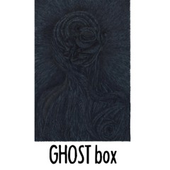 The Raudive Ghost Box (2009)