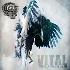 AOR053 - VITAL - MAD - OUT NOW