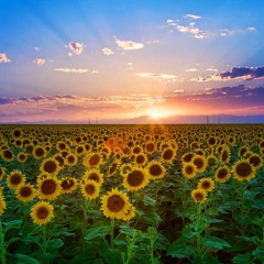 Hard Even - beutiful Thing