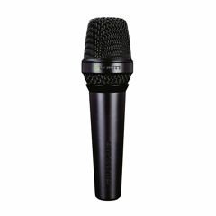Lewitt MTP 550 DM - Male Vocals