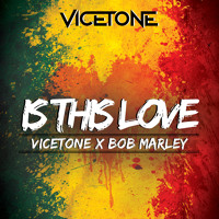 Vicetone X Bob Marley - Is This Love