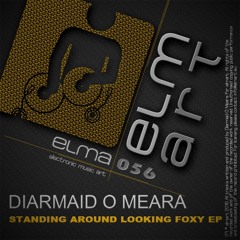 Diarmaid O Meara - A Walk In The Park PREVIEW