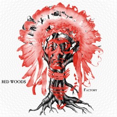 Follow The Black Cat