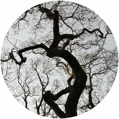 AA 048 Monoteck feat. Noisy - Afterlife EP