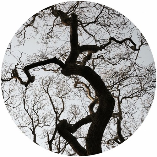 AA 048 Monoteck feat. Noisy - Afterlife EP