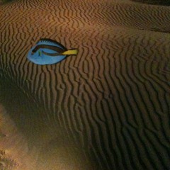 Zang en Hang - Desert Floater