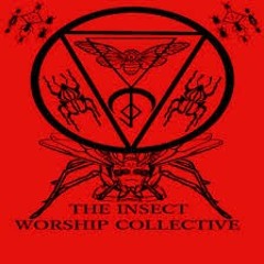 Seperatist X Thaw Recordings - Hypocritical Bible Fuckers