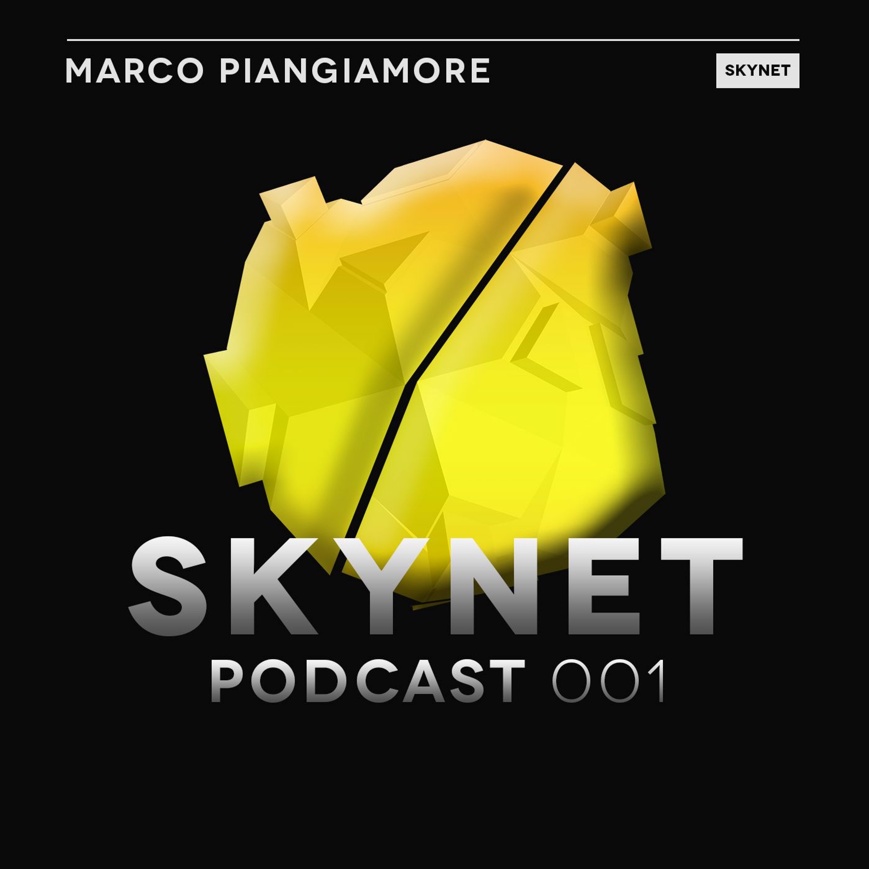 Skynet Podcast