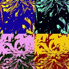 Dream Haze Prod by. H