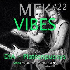 MFK VIBES #22 DIA-Plattenpussys // 04.02.2016