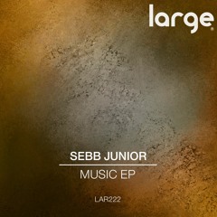 Sebb Junior | Baby Come Back (preview Clip)