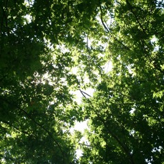 Göğe Bakma Durağı'nda - 08.09.15