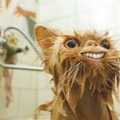 Welcome To Radio BLACK RABBIT