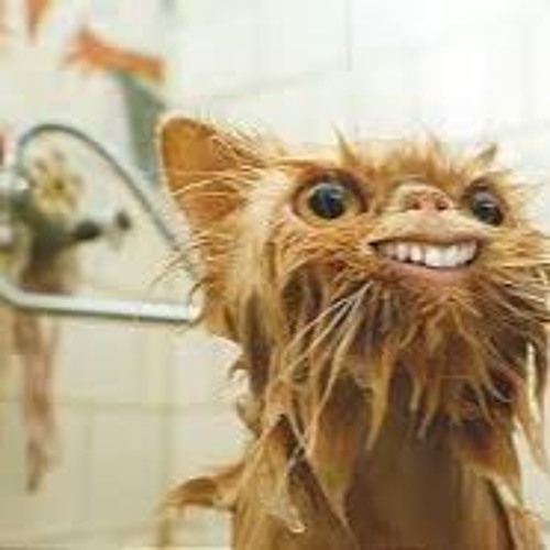 Welcome To Radio BLACK RABBIT